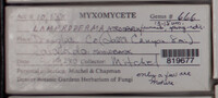 Image Associated With the Occurence
